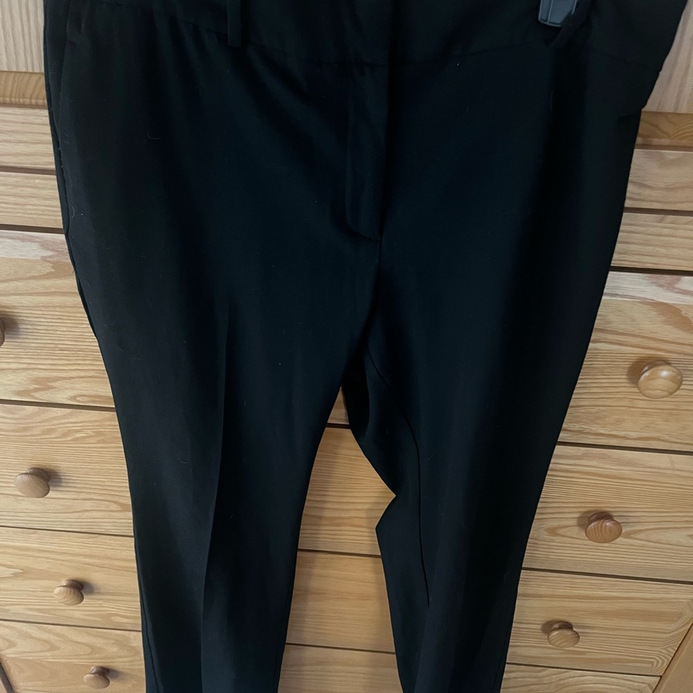 Elegant Ann Taylor is the Black Women's Pants 12p